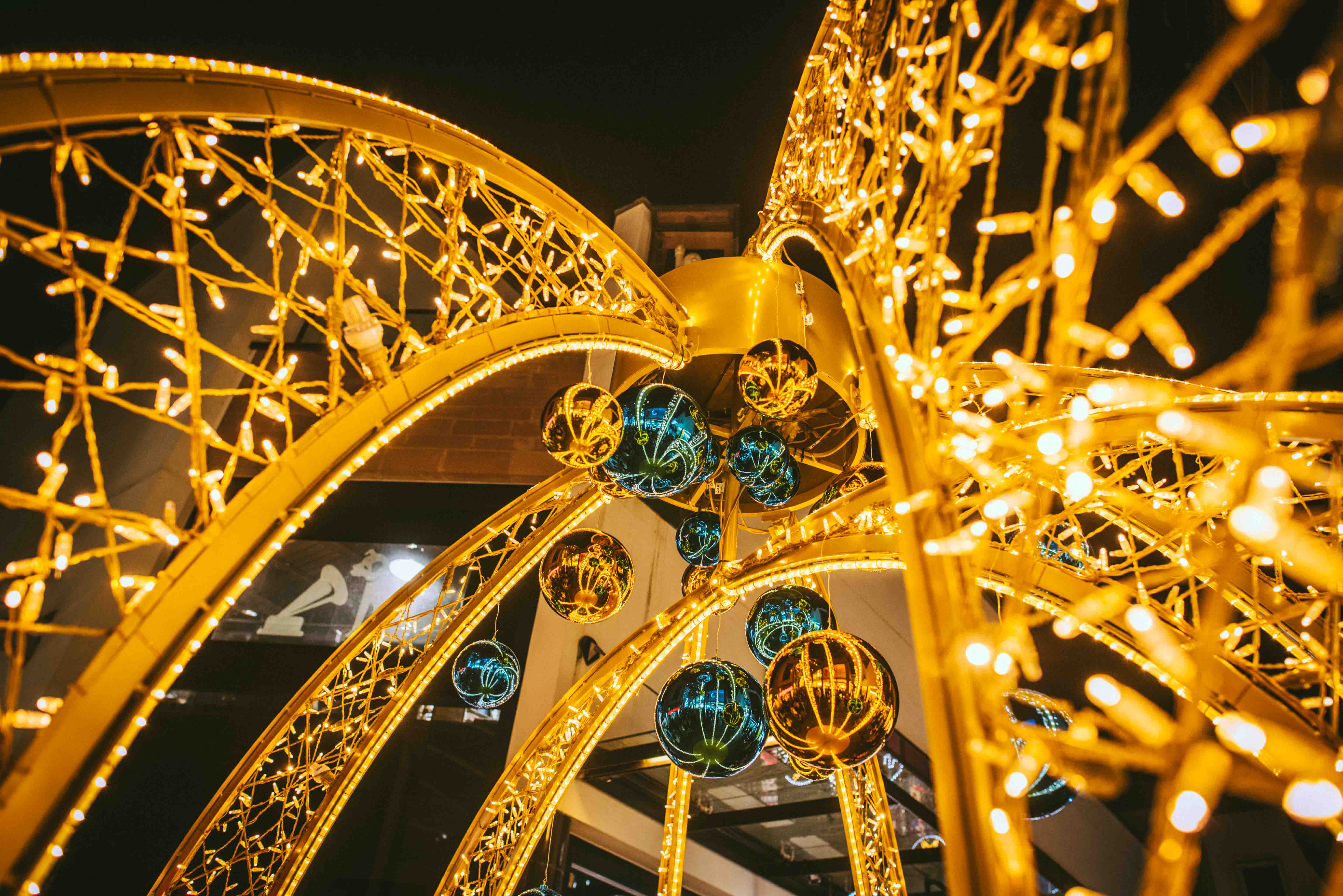 Pictures of Exeter's Christmas lights switchon The Exeter Daily